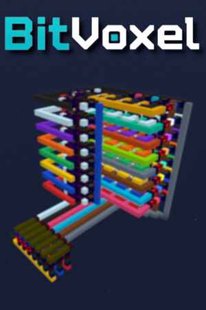 BitVoxel