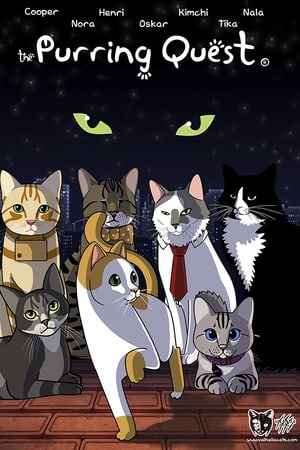 The Purring Quest