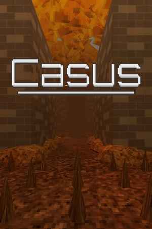 Casus