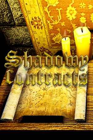 Shadowy Contracts