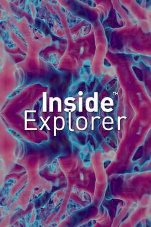 Inside Explorer