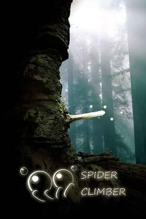 SpiderClimber