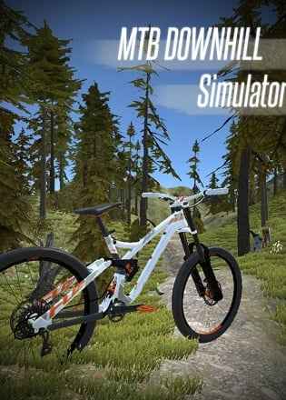 MTB Downhill Simulator