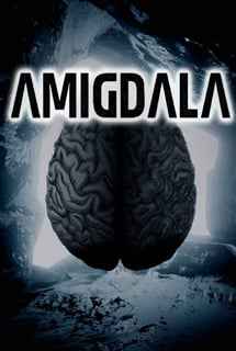 Amigdala