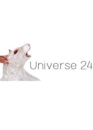 Universe 24