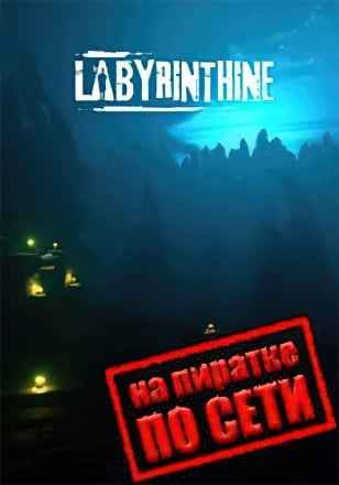 Labyrinthine по сети