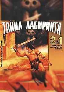 The Amazing Labyrinth