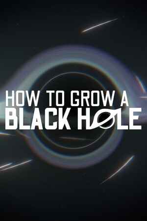 How To Grow a Black Hole