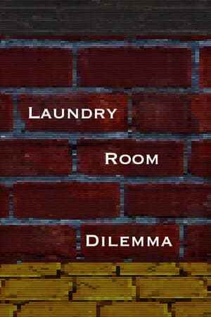 Laundry Room Dilemma