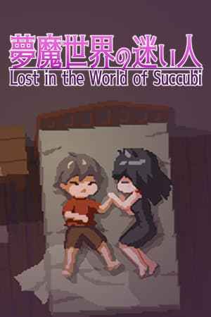 Lost in the World of Succubi