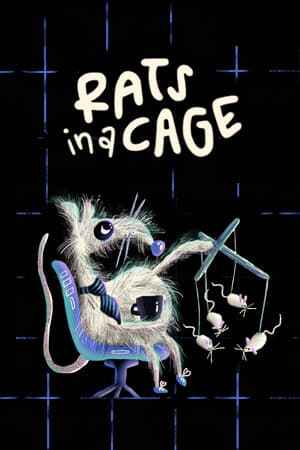 Rats in a Cage