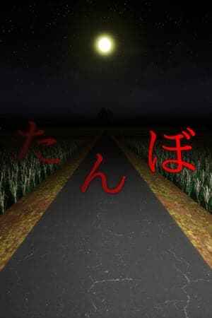 The Paddy Field