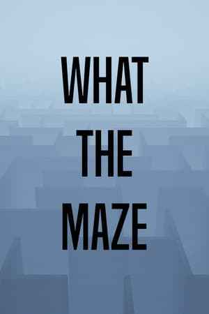 What The Maze