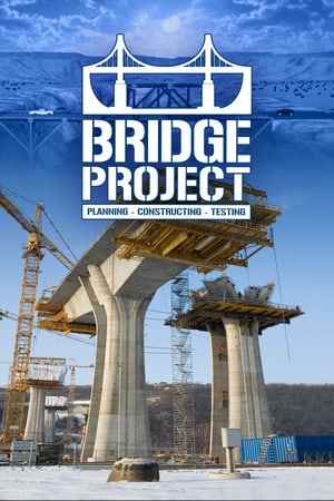 Bridge Project