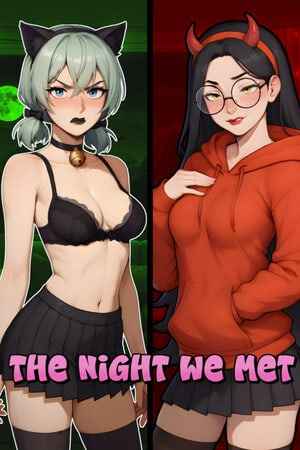 The Night We Met