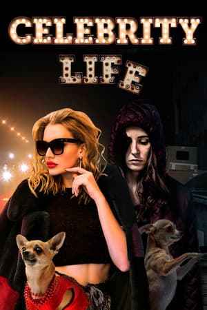 Celebrity Life