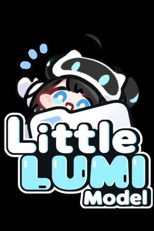 Little LUMI Model