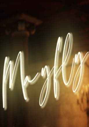 Mayfly
