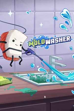 Moldwasher