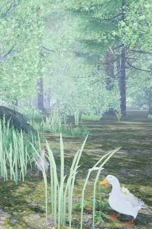 Duck Flight Simulator 2021
