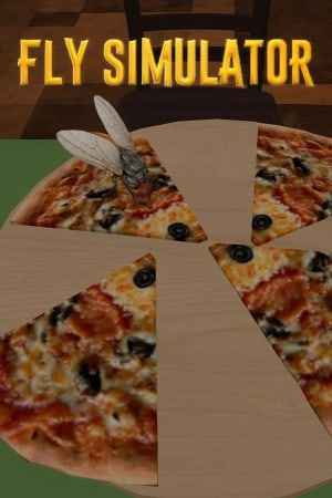 Fly Simulator