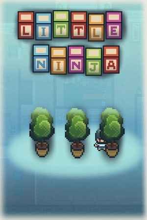 Little Ninja
