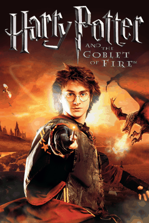 Гарри Поттер и Кубок Огня (игра)