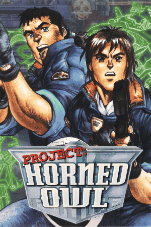 Project: Horned Owl