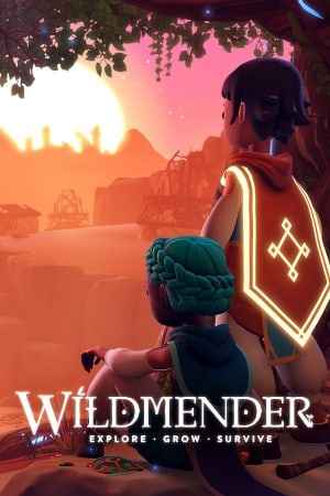 Wildmender по сети